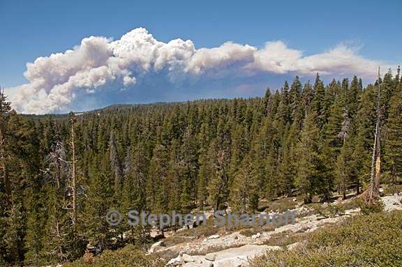 rim fire graphic